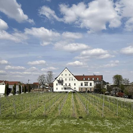 Weinzeit13 Apartamento Neustadt an der Weinstraße Exterior foto