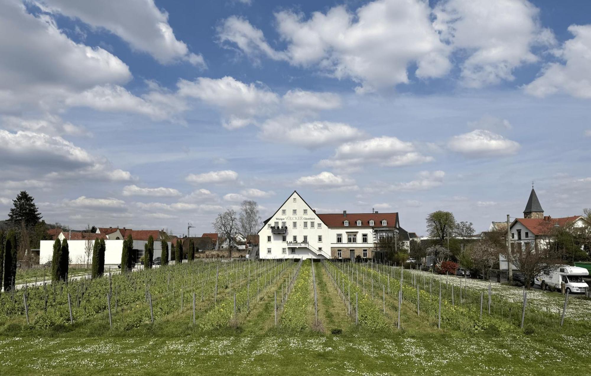 Weinzeit13 Apartamento Neustadt an der Weinstraße Exterior foto